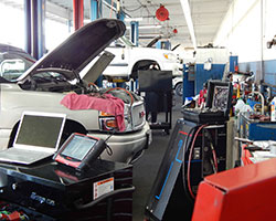 North County Vehicle Shop - image #3